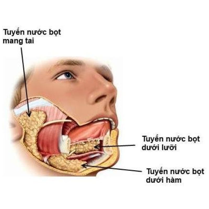 Tuyen-nuoc-bot