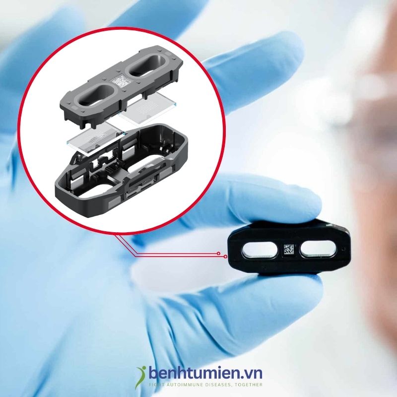 Cận cảnh Microarray của MosaiQ