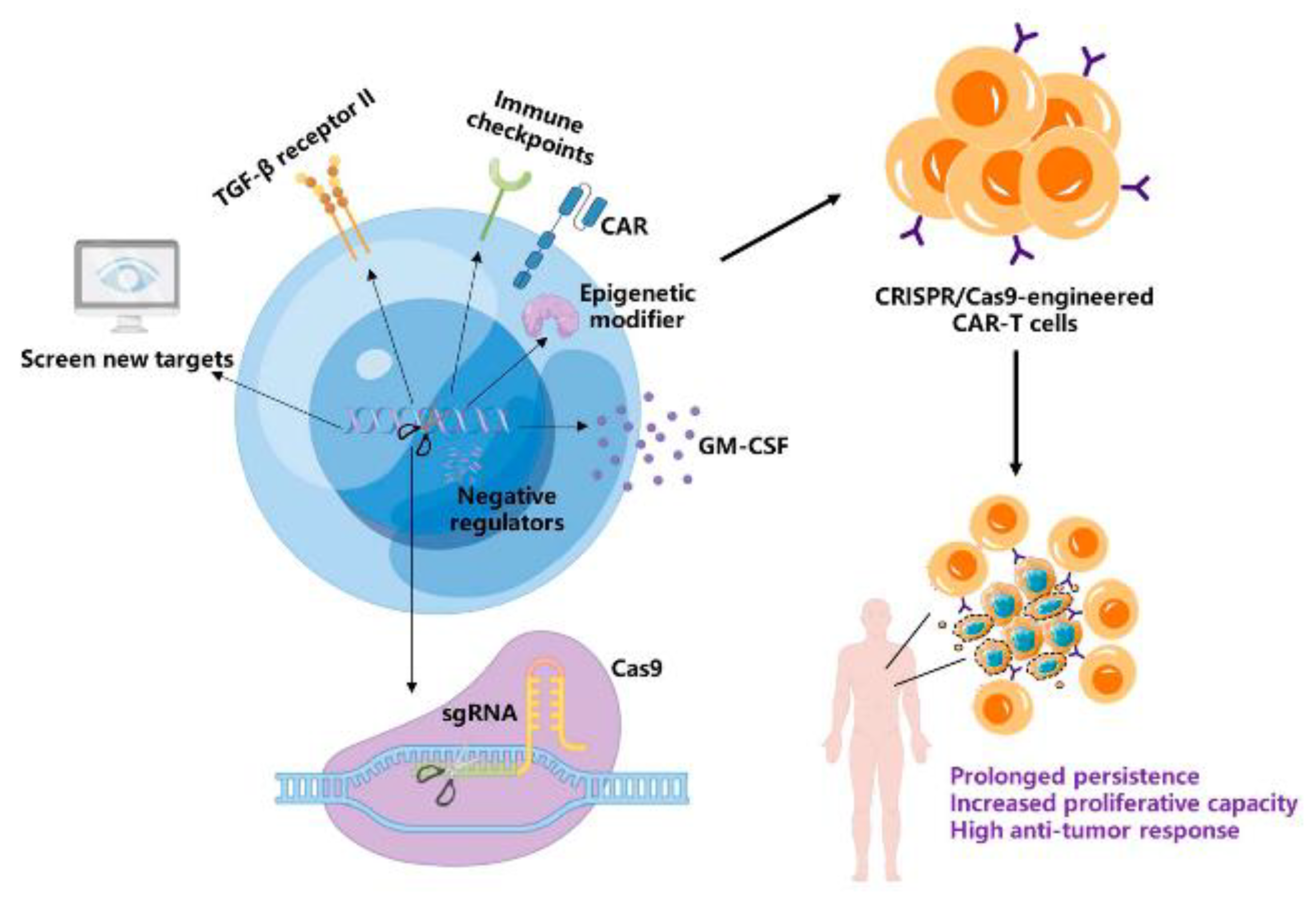 CRISPR-Cas9
