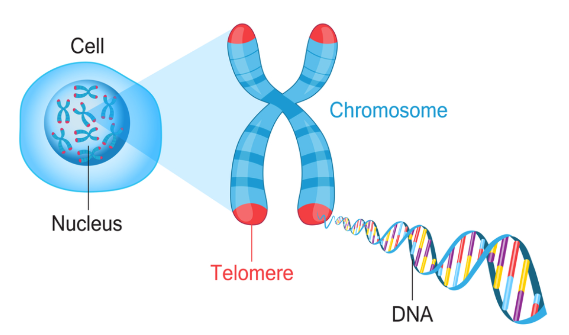 genomics