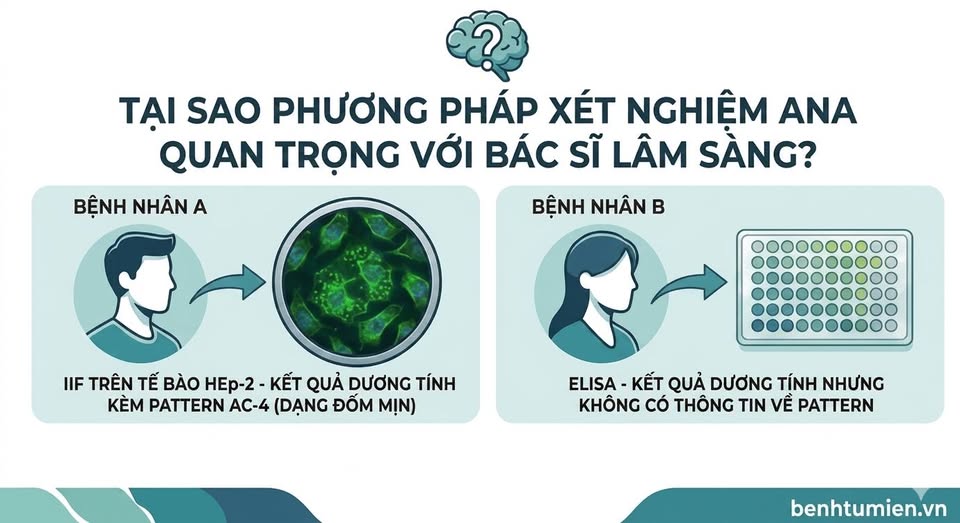 Xet-nghiem-ANA-IIF-ELISA