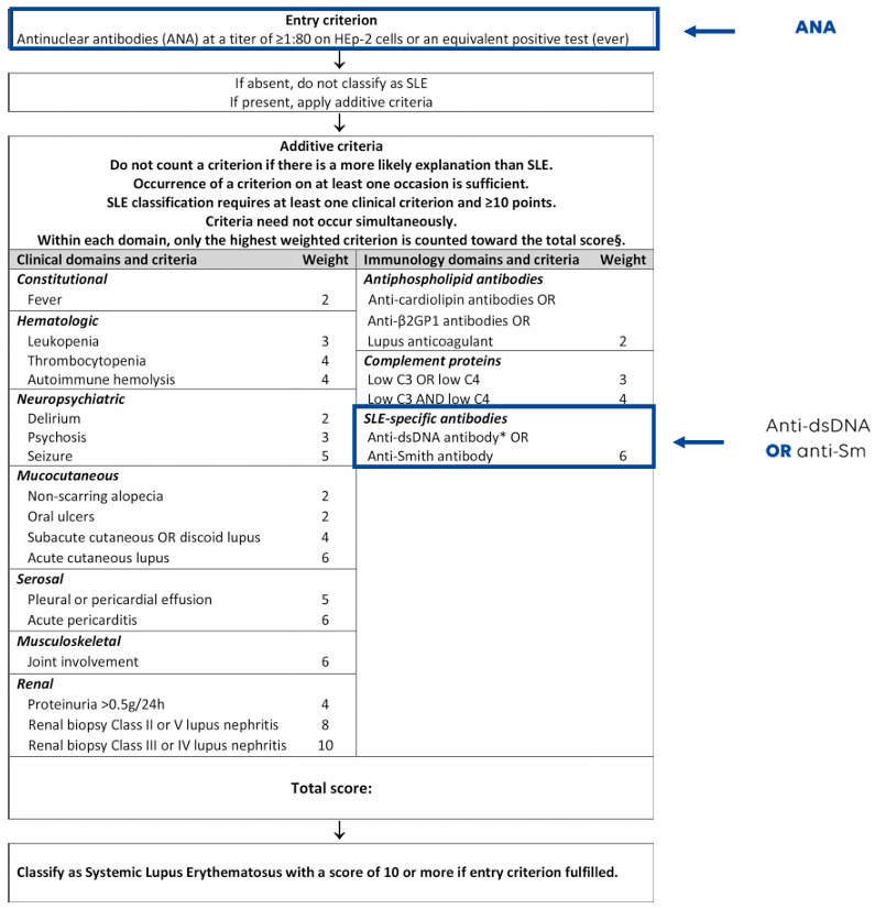 ACR-EULAR-2019-SLE