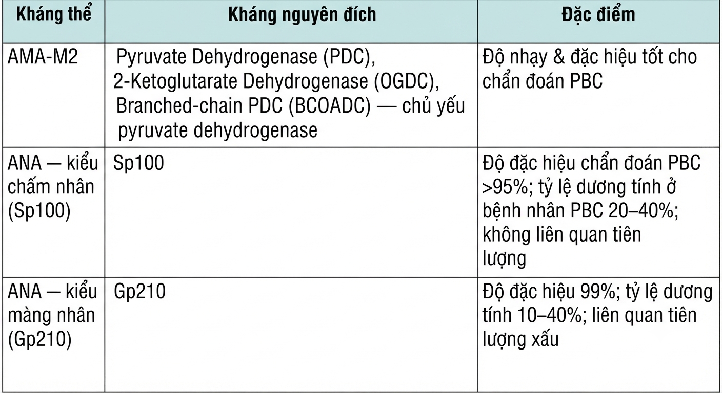 Khang the dac trung cua PBC Khang the dac trung cua PBC