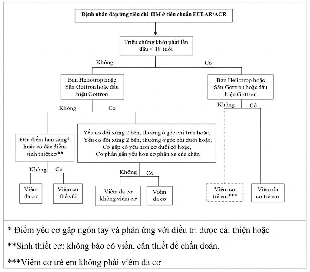 Tieu chuan phan loai_IIM Tieu chuan phan loai_IIM